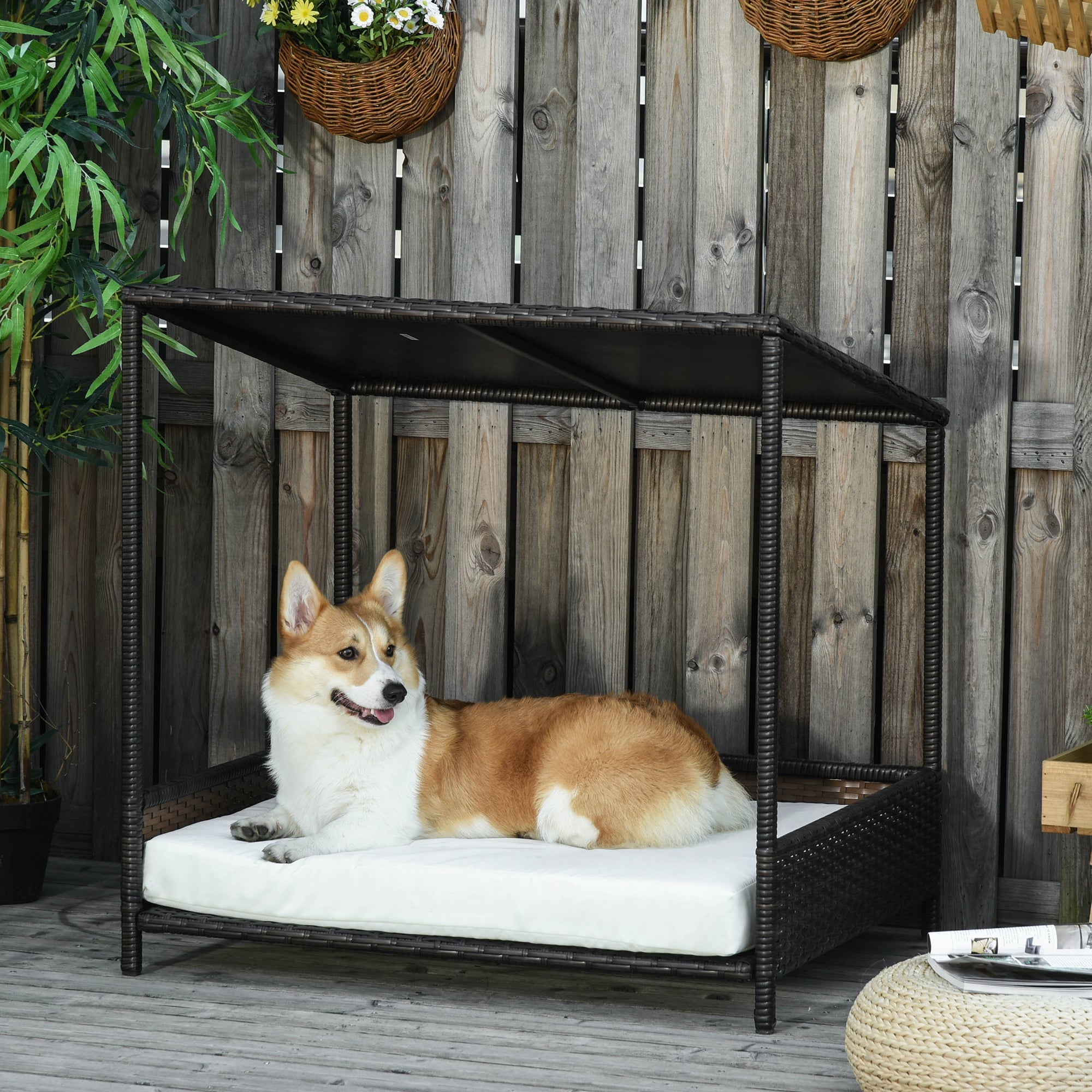 Pet-Animal TryTrendly